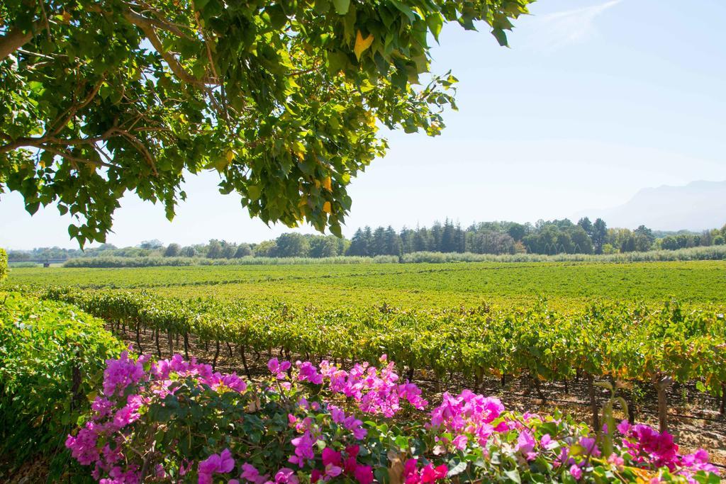 Goedemoed Farm Guest House Paarl Dış mekan fotoğraf